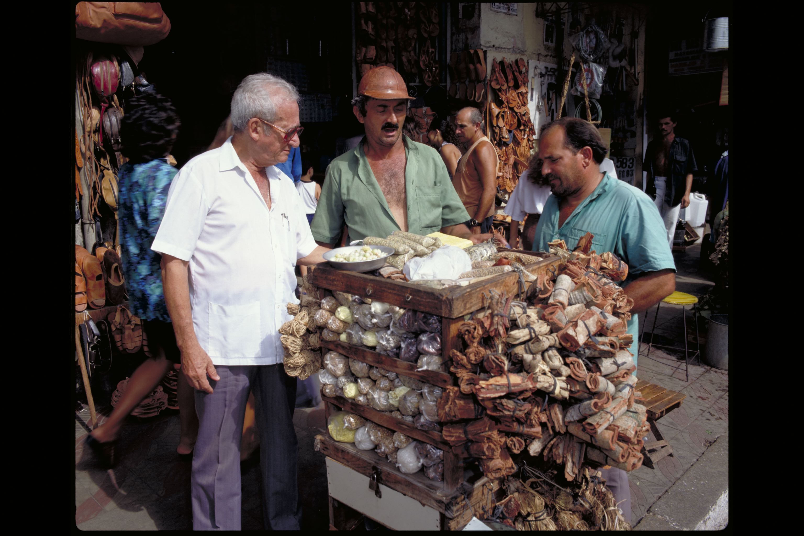 EXP BRAZIL PNE 94 75 Fortaleza Medicinal Plant Market